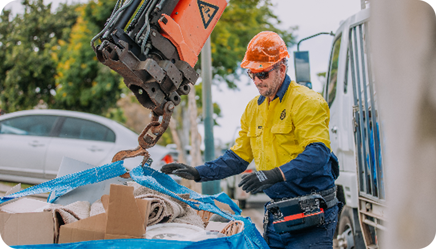 Scan and book collection